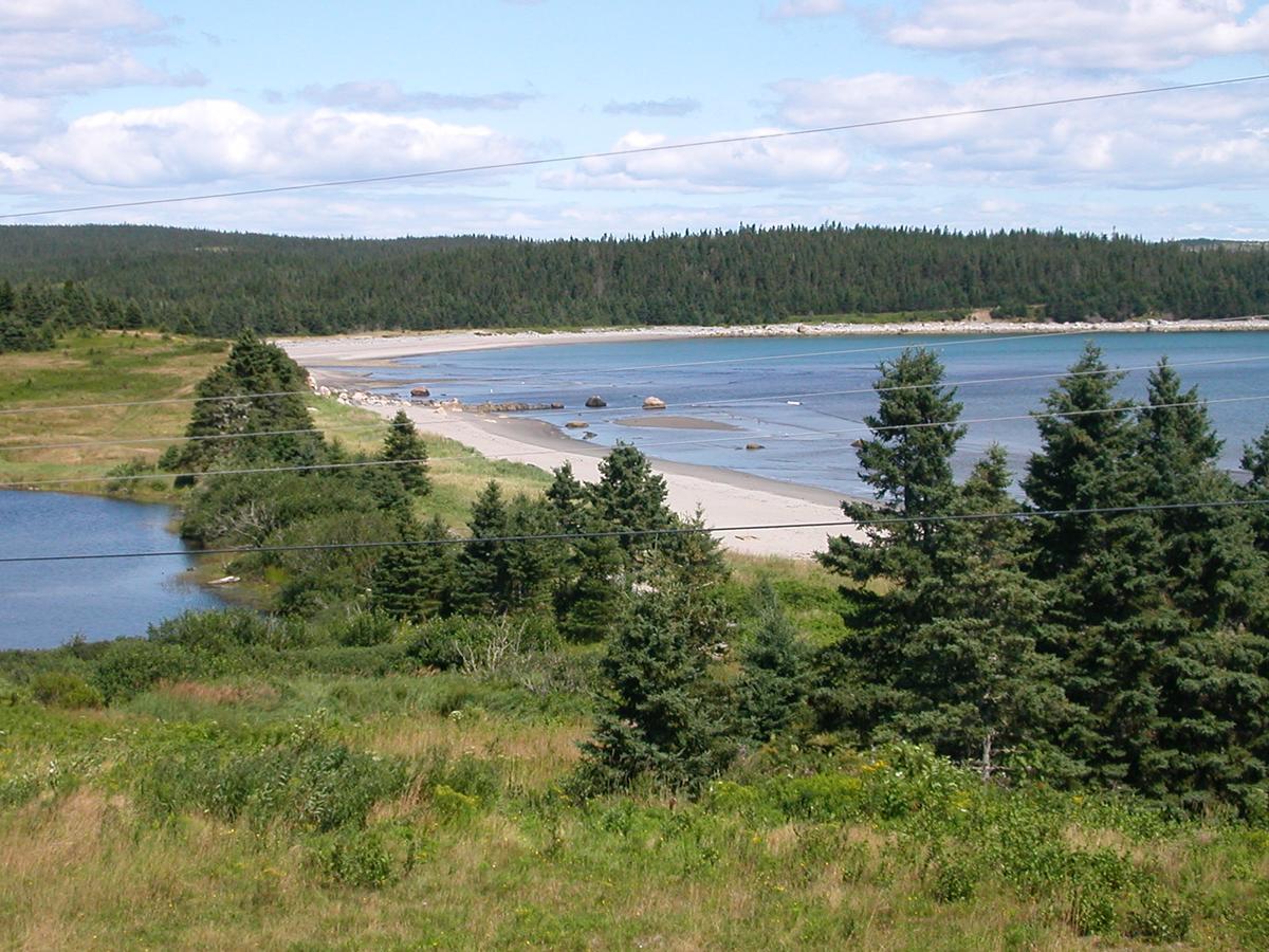 Lonely Rock Seaside Bungalows Larry's River Exterior photo